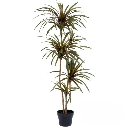 Dracaena Marginata - Искусственное разноцветное дерево-бонсай Драцена Маргината с