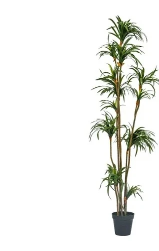 Dracaena Marginata - Искусственное растение Драцена Маргината, зеленое, для