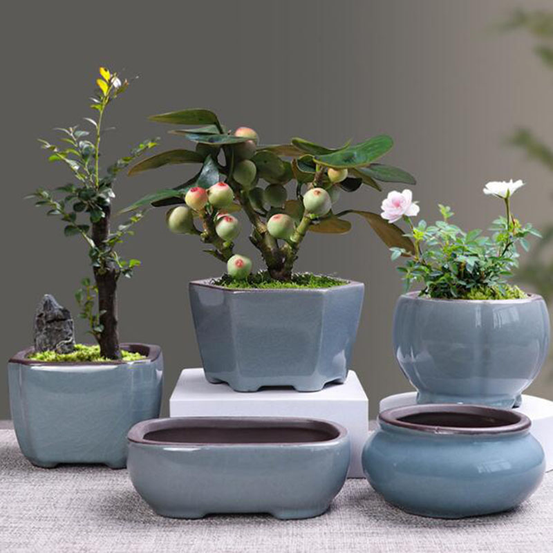 Echeveria Succulent - Керамический цветочный горшок в стиле ретро,