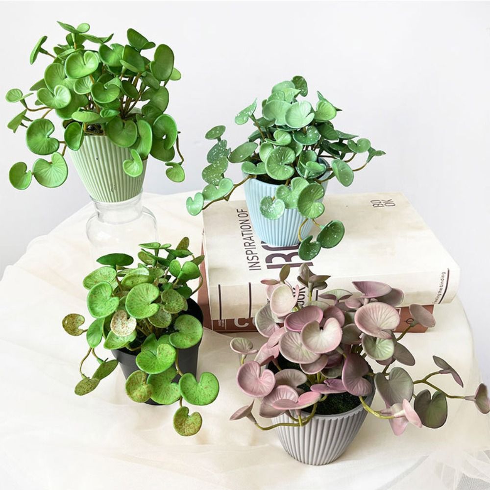 Echeveria Succulent - Мягкий клей, искусственное растение, ЭВА, зеленые