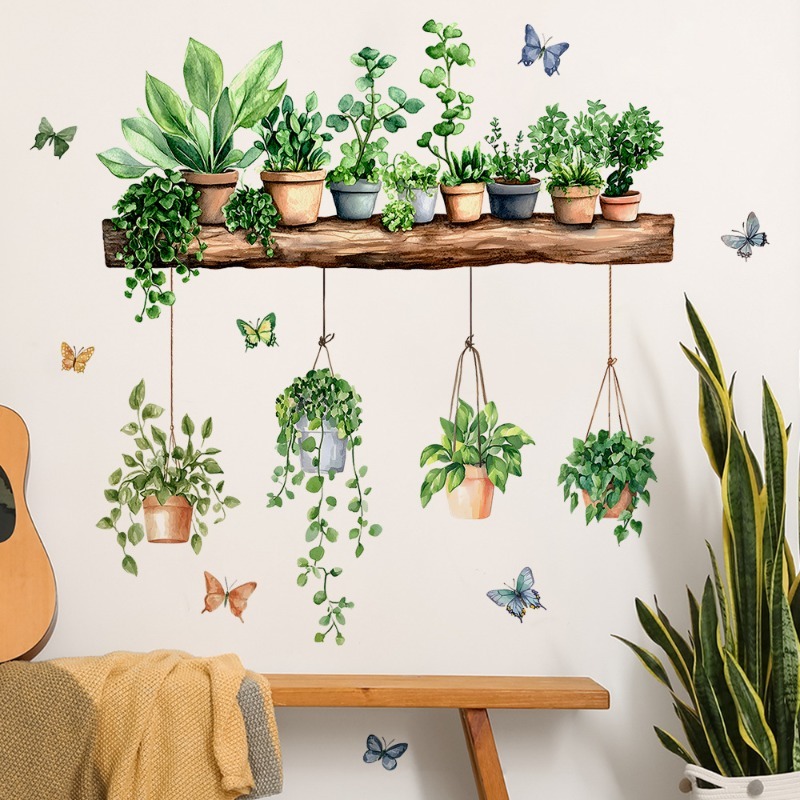 Echeveria Succulent - 3D-наклейки на стену с зелеными растениями