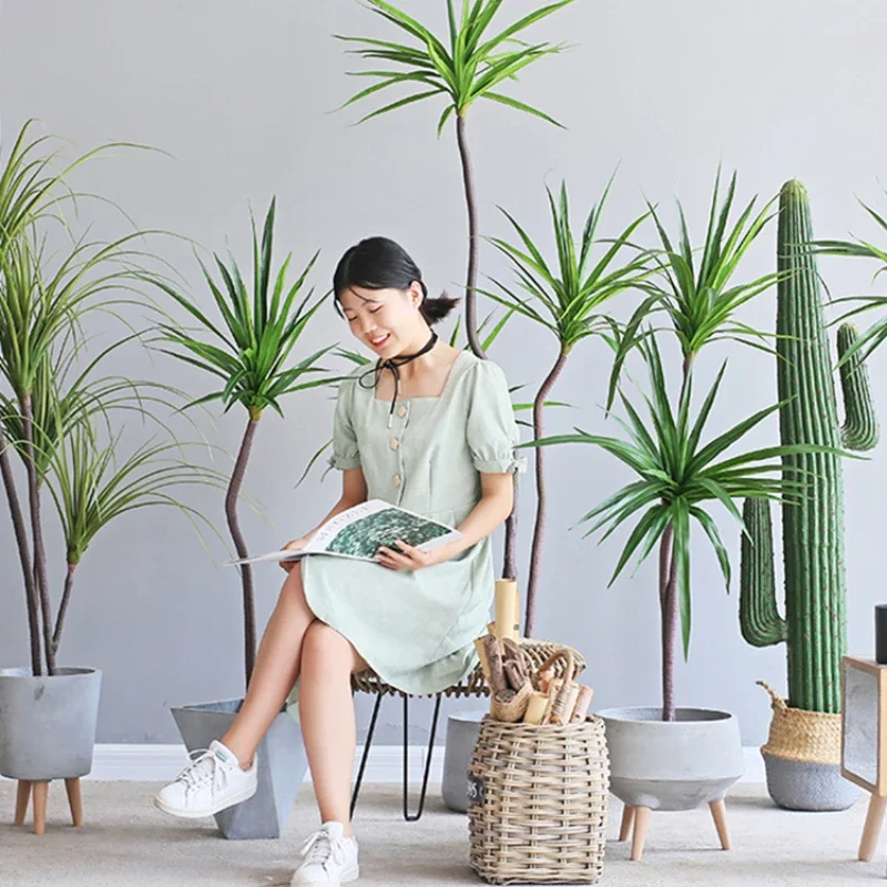 Dracaena Marginata - Имитация растений Dracaena Marginata Dracaena Sago