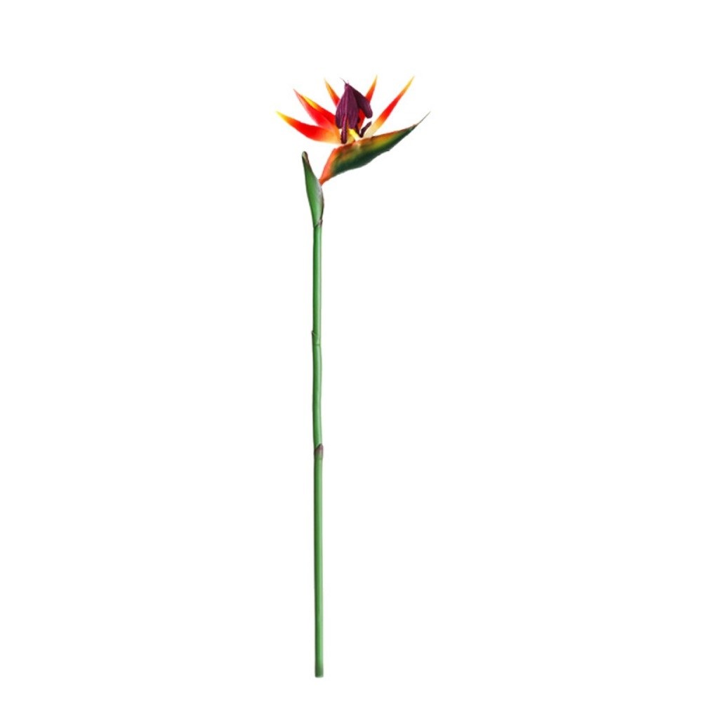 Искусственная стрелиция на дли – обзор и цена Bird Paradise Strelitzia