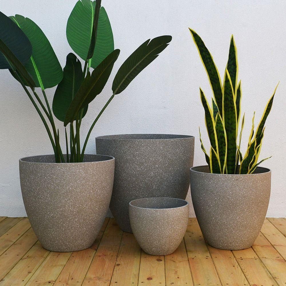 Матовый искусственный камень,  – обзор и цена Aloe Vera Pot