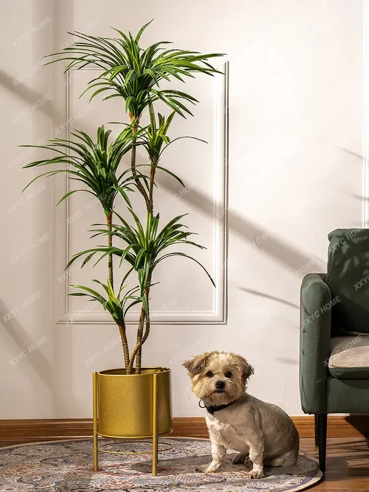 Искусственное разноцветное дер – обзор и цена Dracaena Marginata