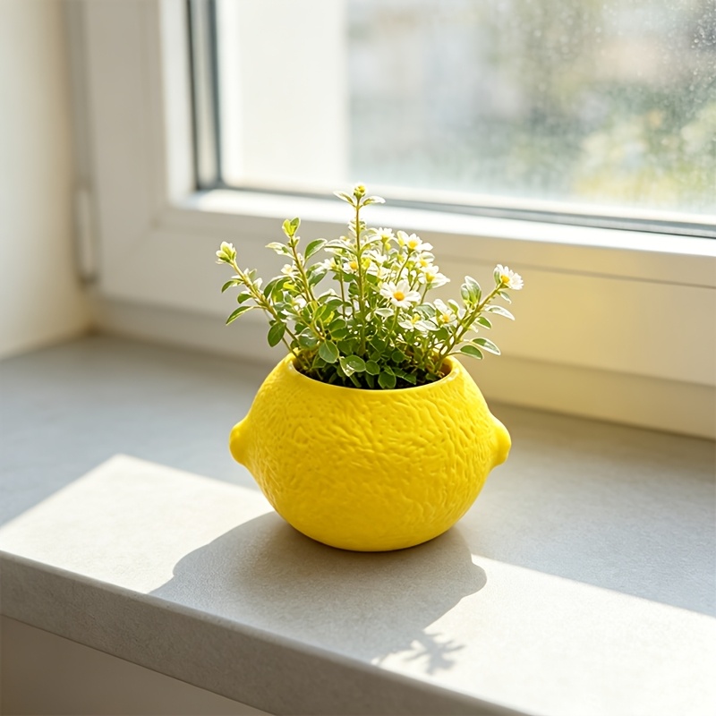 Декоративный горшок для растен – обзор и цена Echeveria Succulent