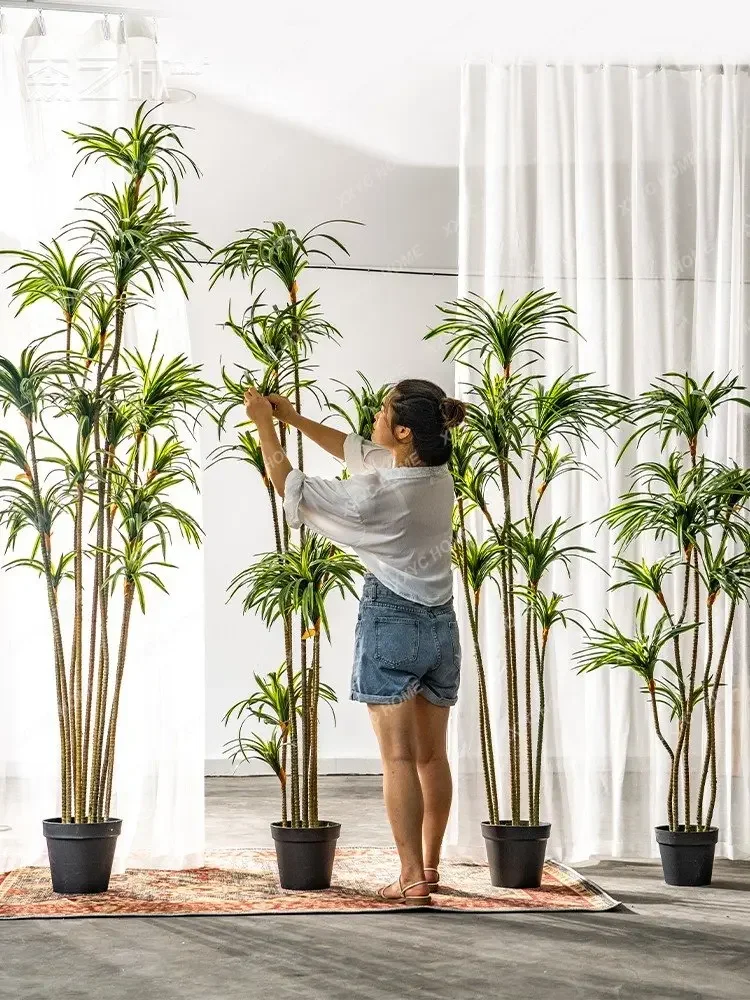 Искусственное растение Драцена – обзор и цена Dracaena Marginata