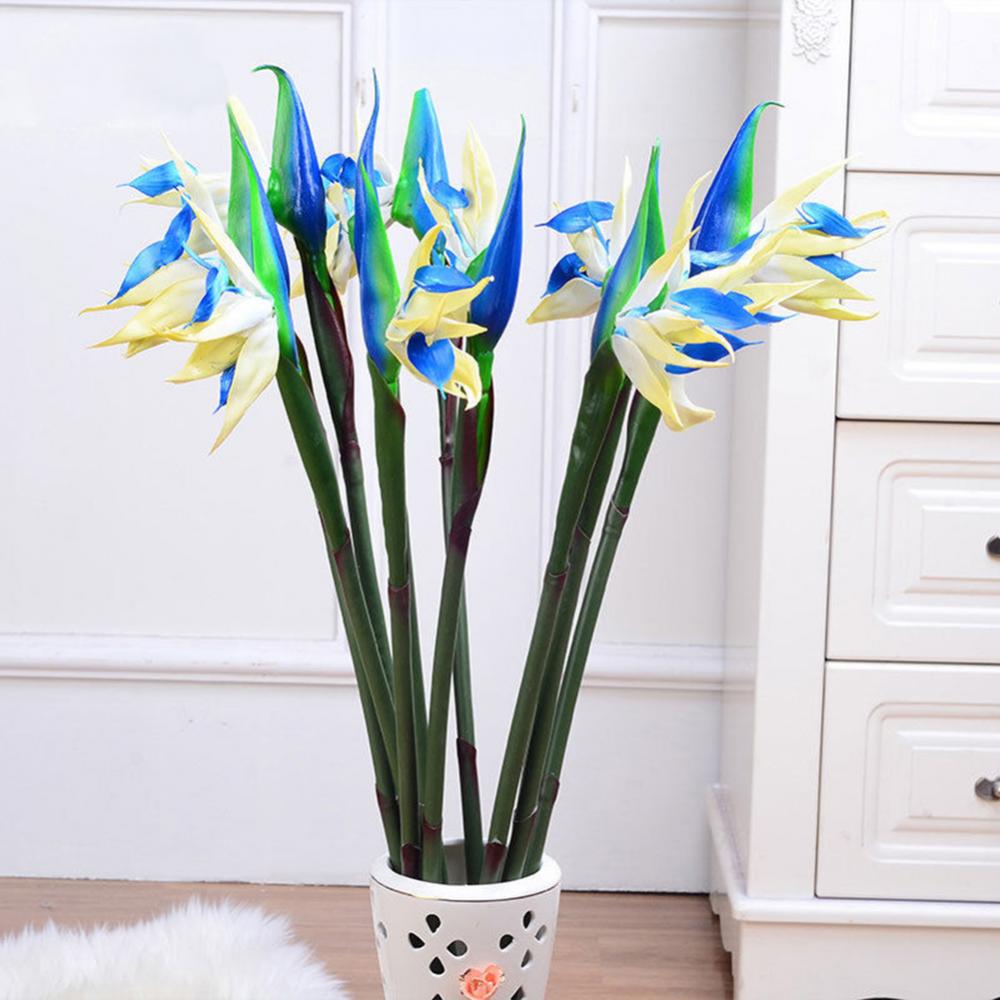 1 шт., 80 см, цветок, птица ра – обзор и цена Bird Paradise Strelitzia