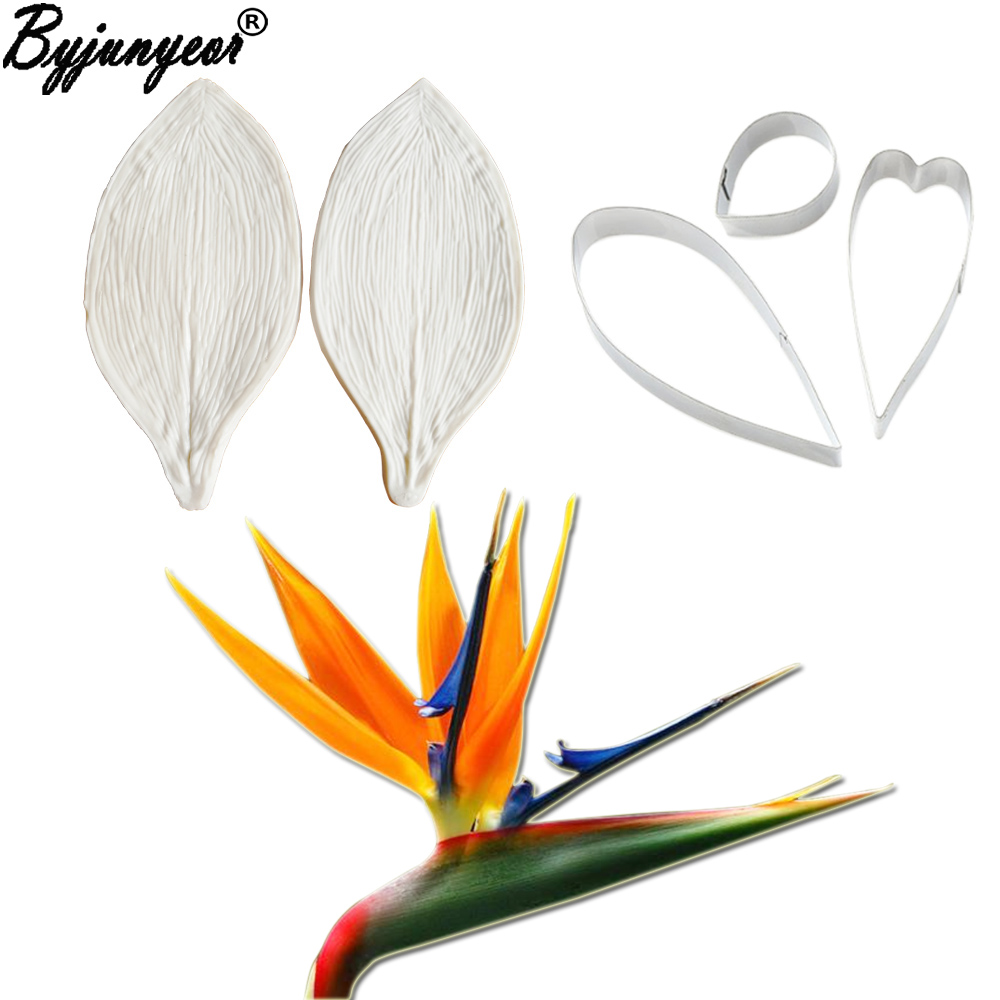Большая клейкая паста Strelitz – обзор и цена Bird Paradise Strelitzia