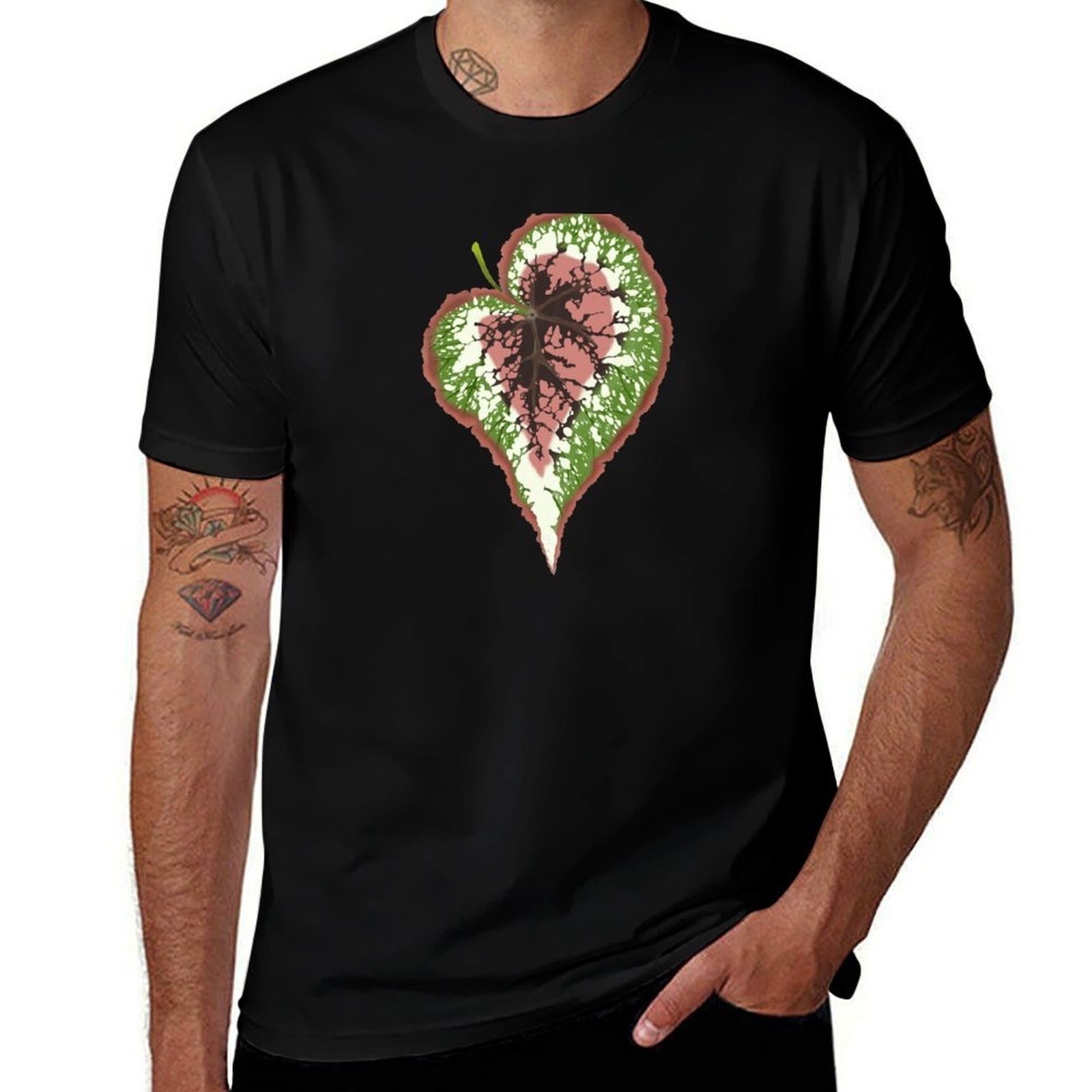 Футболка Begonia Rex, простой  – обзор и цена Begonia Rex
