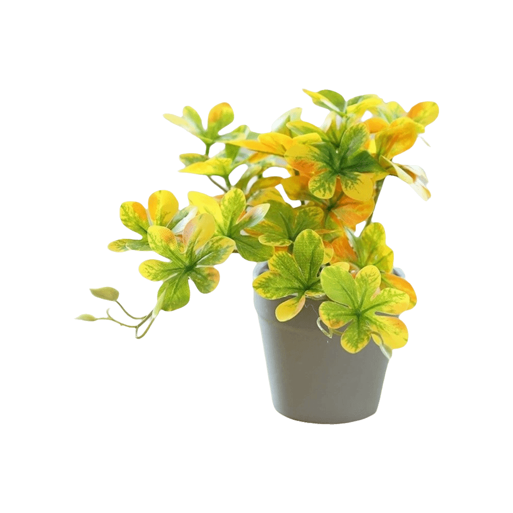 Искусственный бонсай, искусств – обзор и цена Spider Plant Hanging