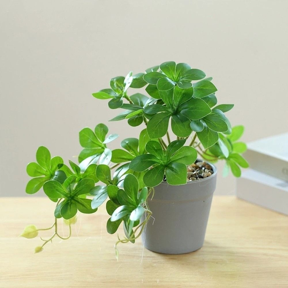 Искусственный бонсай, искусств – обзор и цена Spider Plant Hanging