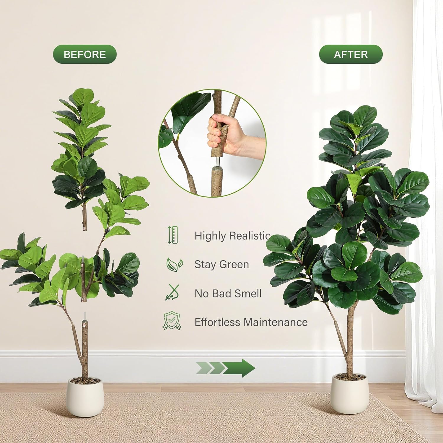 4-7 футов Fiddle Leaf Fig Tree – обзор и цена Ficus Lyrata Tree
