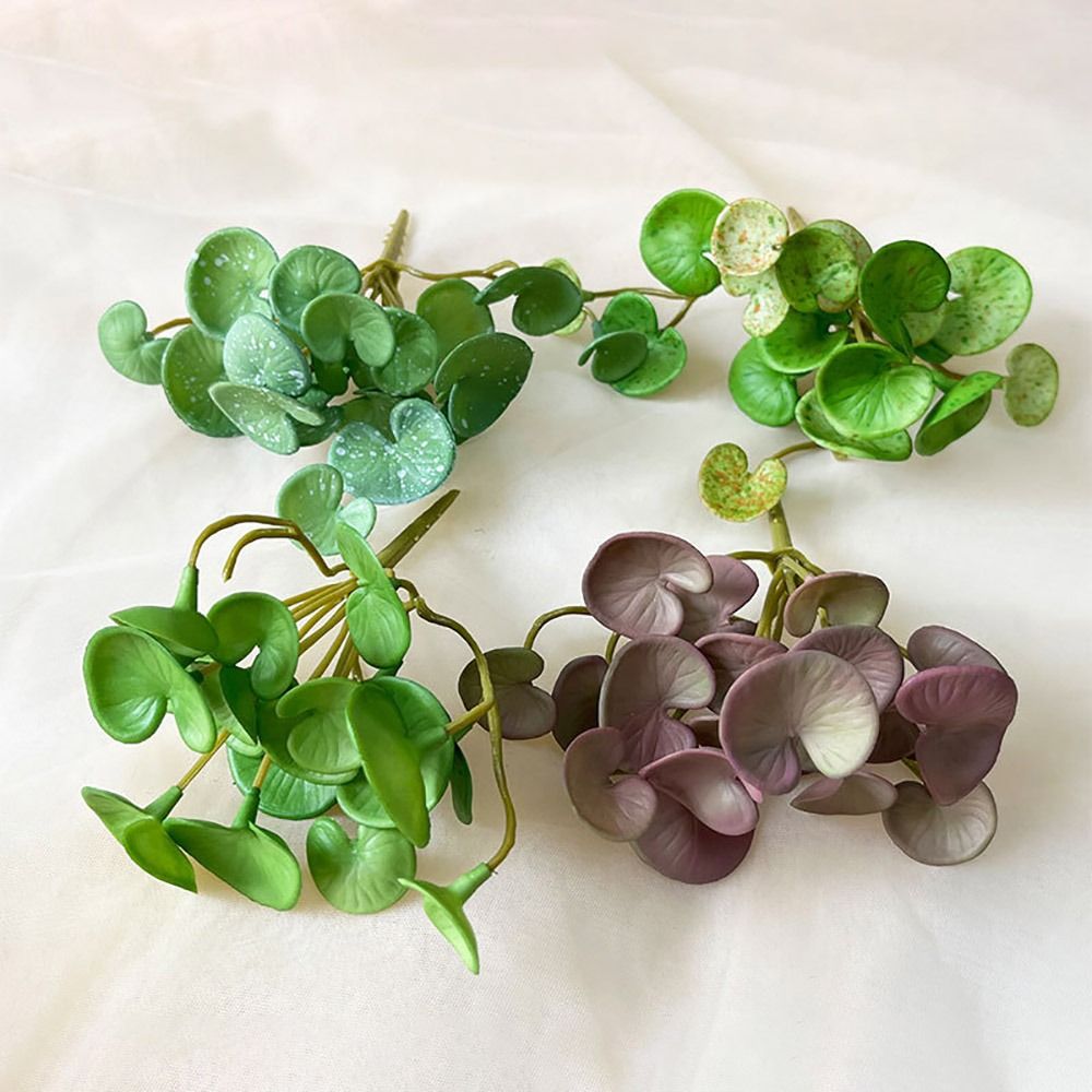 Мягкий клей, искусственное рас – обзор и цена Echeveria Succulent