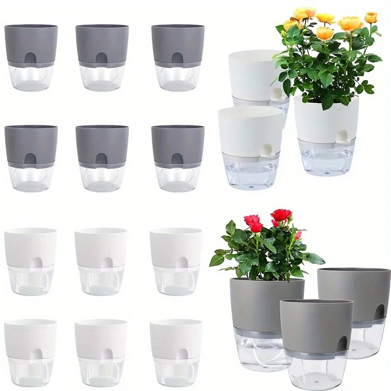 10/5 шт. самополивающийся плас – обзор и цена Aloe Vera Pot