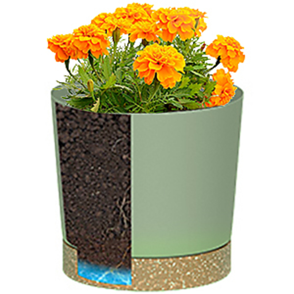 Гортенки для растений, легкие  – обзор и цена Aloe Vera Pot