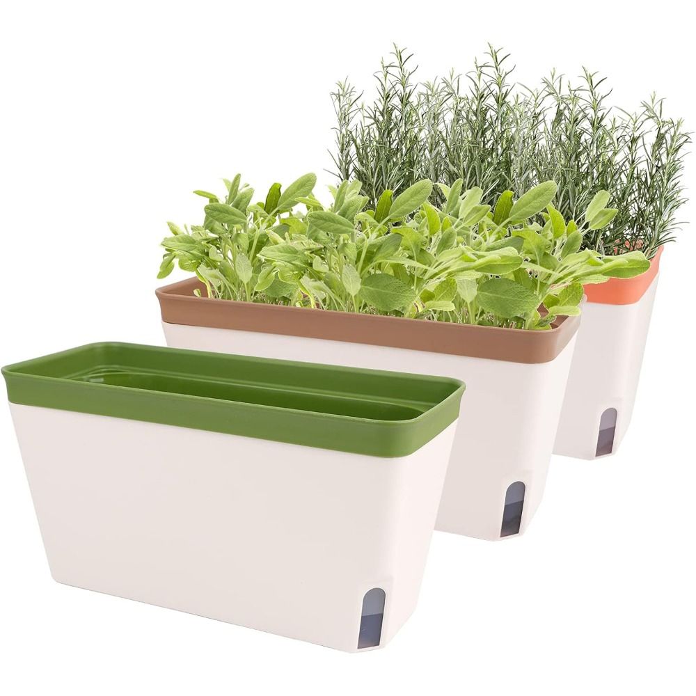 Высококачественные современные – обзор и цена Aloe Vera Pot