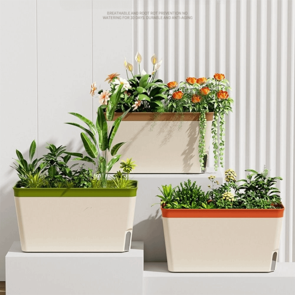 Высококачественные современные – обзор и цена Aloe Vera Pot