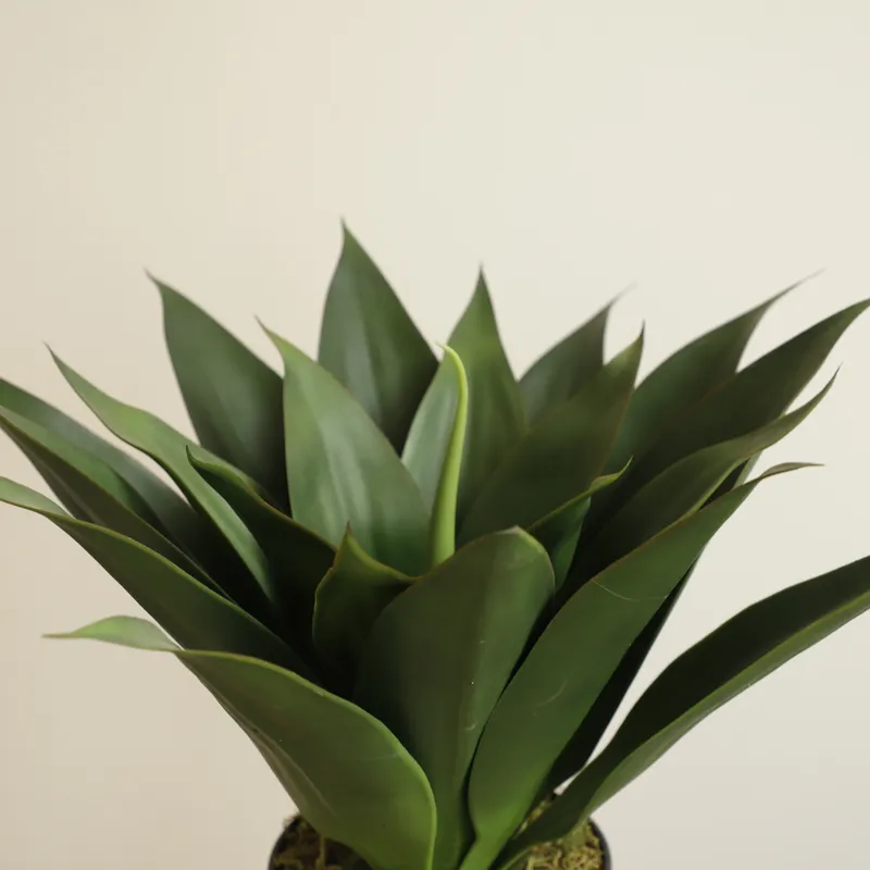 Искусственное растение алоэ ве – обзор и цена Aloe Vera Pot